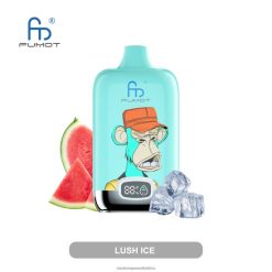 Fumot Original RandM Digital Box 12000 Battery And Liquid Display Vape Device D8842N7 Lush Ice RandM vape online